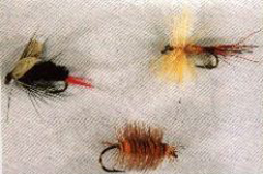 K10 - Ken's Black Bee - Ken's Y&R Neft - Ken's Red Woody - 2 for $5